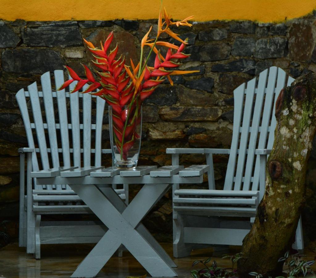 View Guesthouse & Bistro At Goyambokka Tangalle Εξωτερικό φωτογραφία