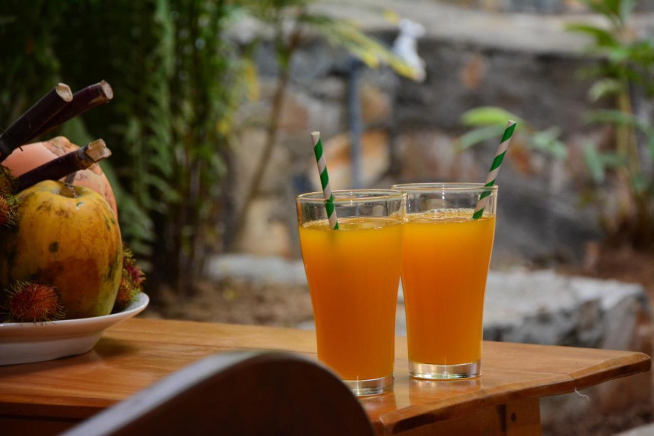 View Guesthouse & Bistro At Goyambokka Tangalle Εξωτερικό φωτογραφία