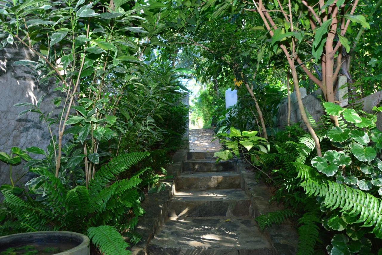 View Guesthouse & Bistro At Goyambokka Tangalle Εξωτερικό φωτογραφία