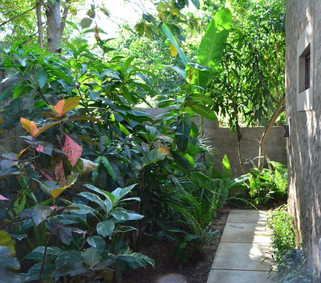 View Guesthouse & Bistro At Goyambokka Tangalle Εξωτερικό φωτογραφία